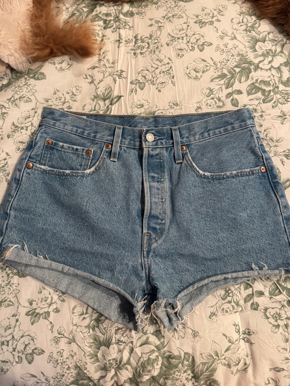 Levi's Light Blue High-Rise Denim Cutoff Shorts